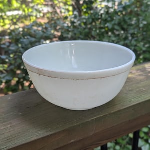 May include: A white ceramic bowl with a slightly distressed rim. The bowl is round and has a simple, classic design. The background is a blurred view of green foliage.
