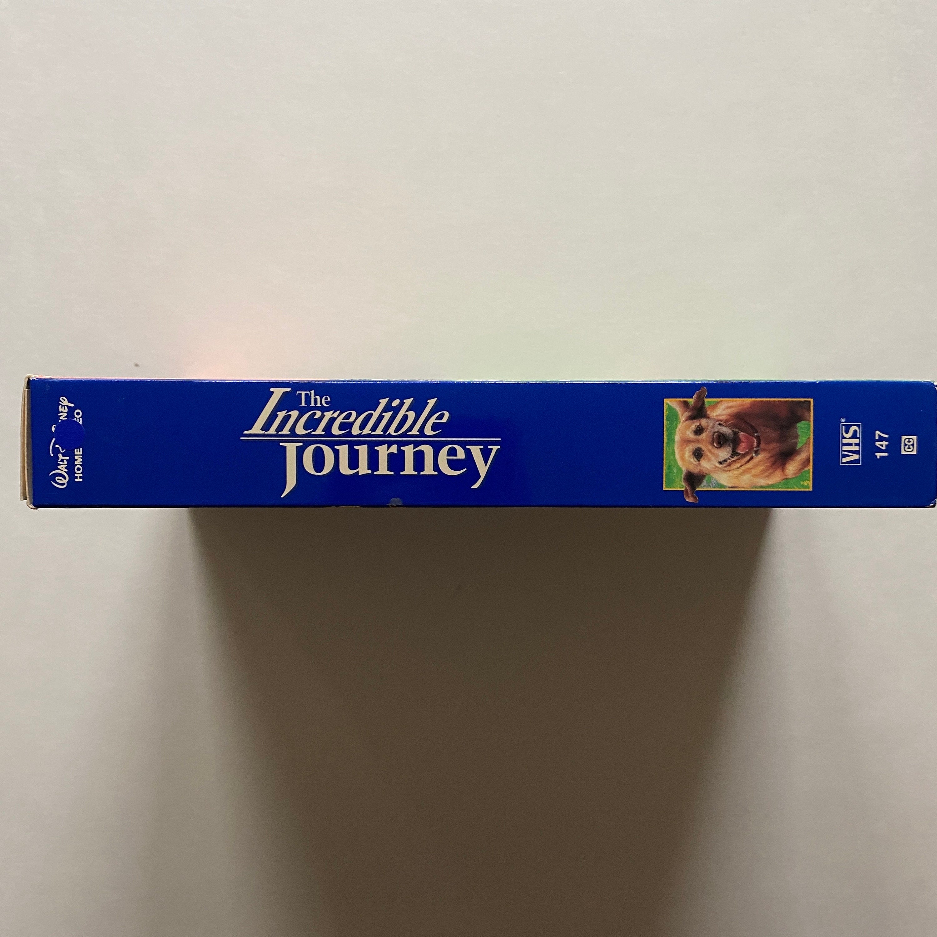 その他 Incredible Story of Dogs [VHS] その他 Incredible Story of Dogs [VHS] Incredible Story of