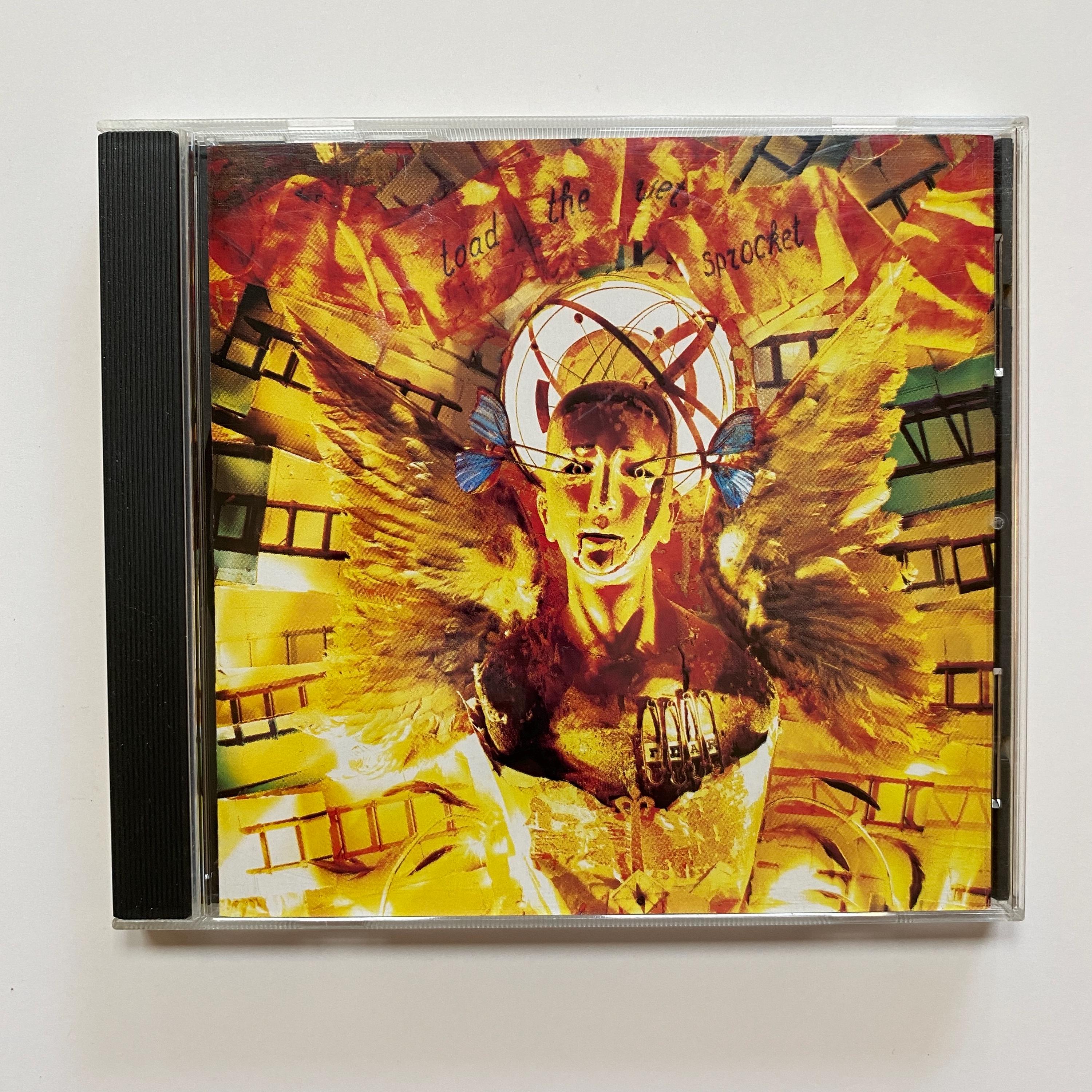 Toad the Wet Sprocket Fear CD Music Album 1991 Alt Rock Band - Etsy