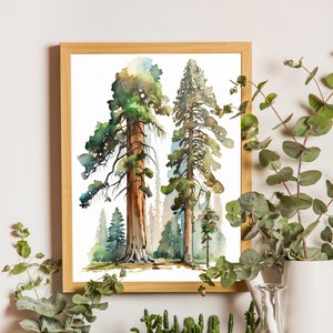 Giant Sequoia Trees Print, Redwood Tree Watercolor Painting, Instant Download Digital Art, DIY - Nature Decor for Cabins, Offices, Hallways