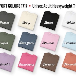 Alligator Alcatraz Shirt, Comfort Colors Unisex T-shirt, Vintage Gator Gift Tshirt, Florida Everglades, Funny Dark Humor Parody Graphic Tee