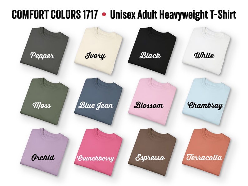 Alligator Alcatraz Shirt, Comfort Colors Unisex T-shirt, Vintage Gator Gift Tshirt, Florida Everglades, Funny Dark Humor Parody Graphic Tee