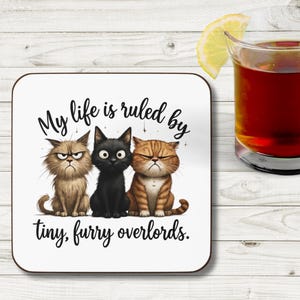 Cute Cat Quote Coaster, Sarcastic Cat Coaster, Furry Overlords, Funny Drink Coaster, Cat Lover Gift, Home Decor