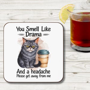 Cute Cat Quote Coaster, Sarcastic Cat Coaster, Funny Drink Coaster, Cat Lover Gift, Home Decor