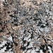 Sequins Flip Two Tone Camouflage Design on a Black Stretch Velvet, Sold by the Yard. Green/Purple/Black main image 0