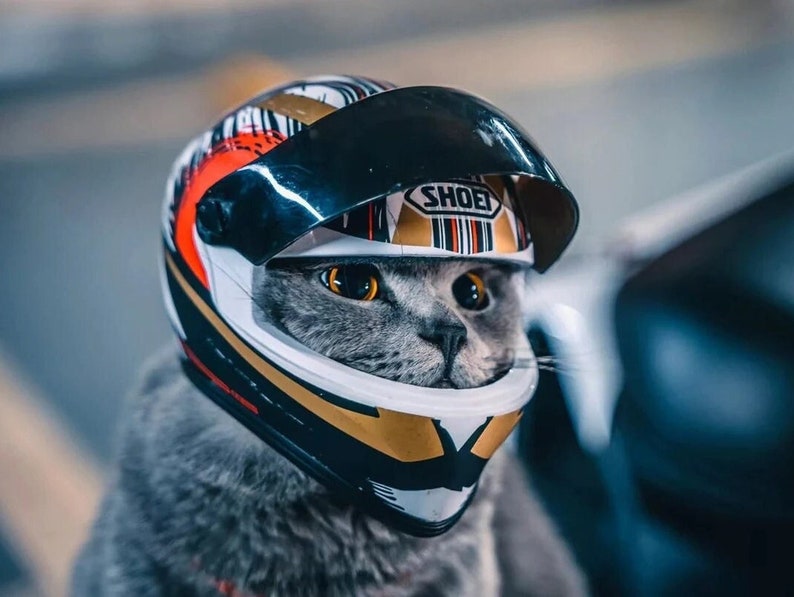 Mini Pet Motorcycle Helmet for Cats and Dogs - Etsy