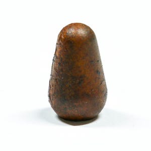 May include: A brown, teardrop-shaped object with a textured surface. The object has a rounded top and a slightly wider base. The color is a mix of light and dark browns, with darker spots scattered across the surface.