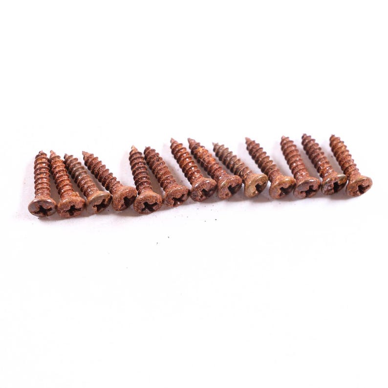 AGP ™ Aged Relic Phillips Head Pickguard Screws for Tele and Strat-Style Guitars (13) #5212647