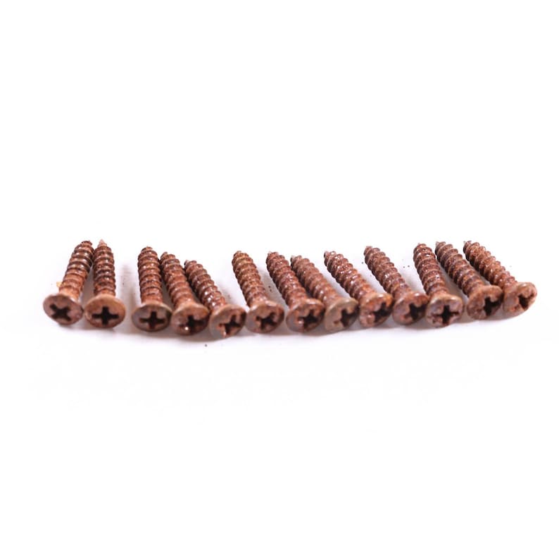 AGP ™ Aged Relic Phillips Head Pickguard Screws for Tele and Strat-Style Guitars (13) #5212641