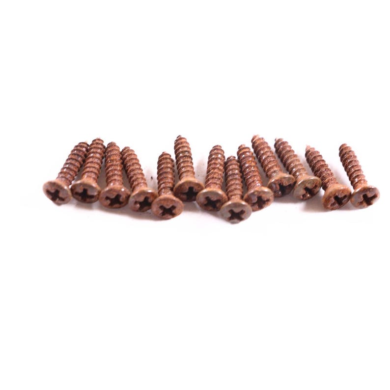 AGP ™ Aged Relic Phillips Head Pickguard Screws for Tele and Strat-Style Guitars (13) #5212646