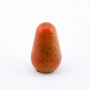 May include: A single, small, orange-brown pear-shaped fruit.