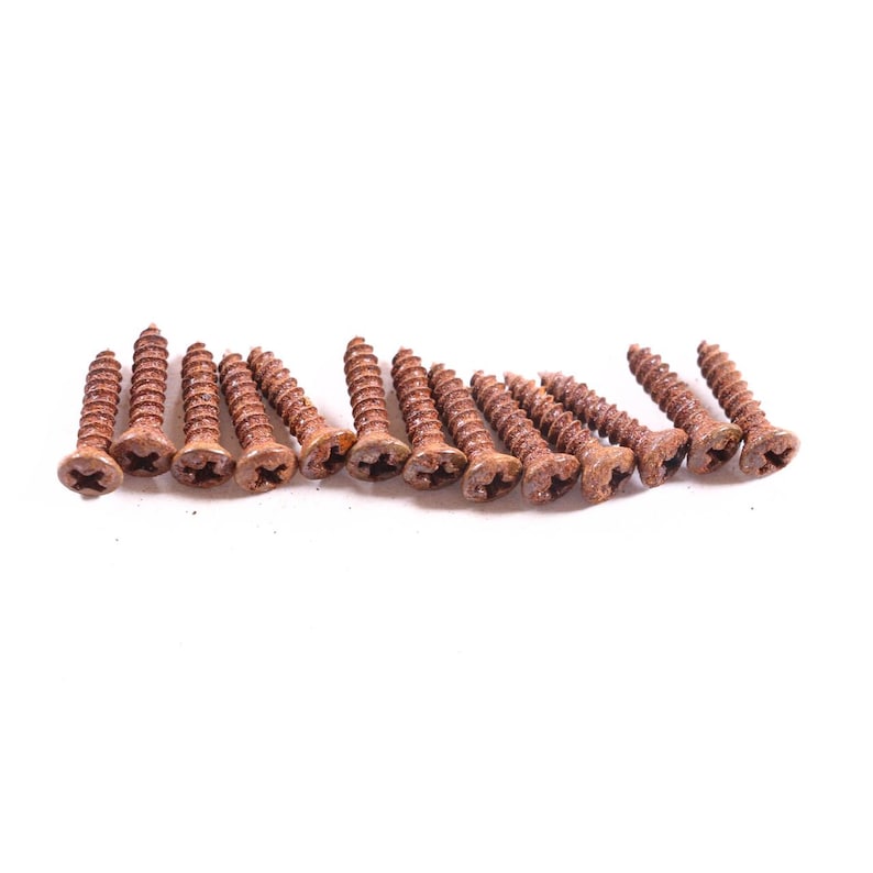 AGP ™ Aged Relic Phillips Head Pickguard Screws for Tele and Strat-Style Guitars (13) #5212652