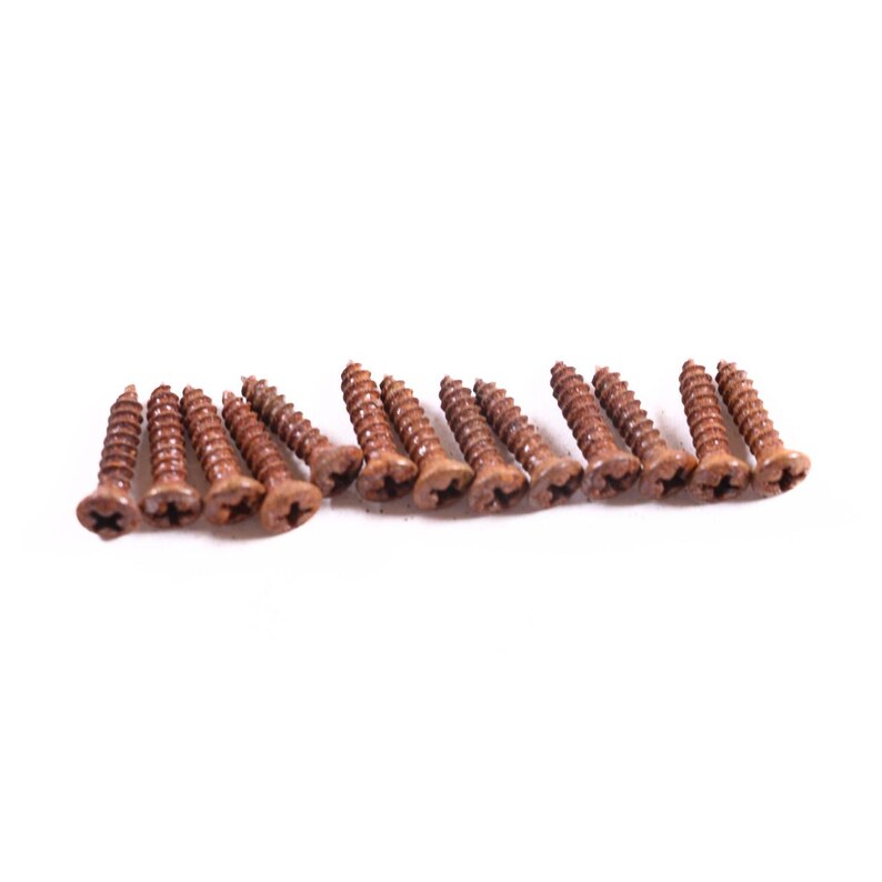 AGP ™ Aged Relic Phillips Head Pickguard Screws for Tele and Strat-Style Guitars (13) #5212657
