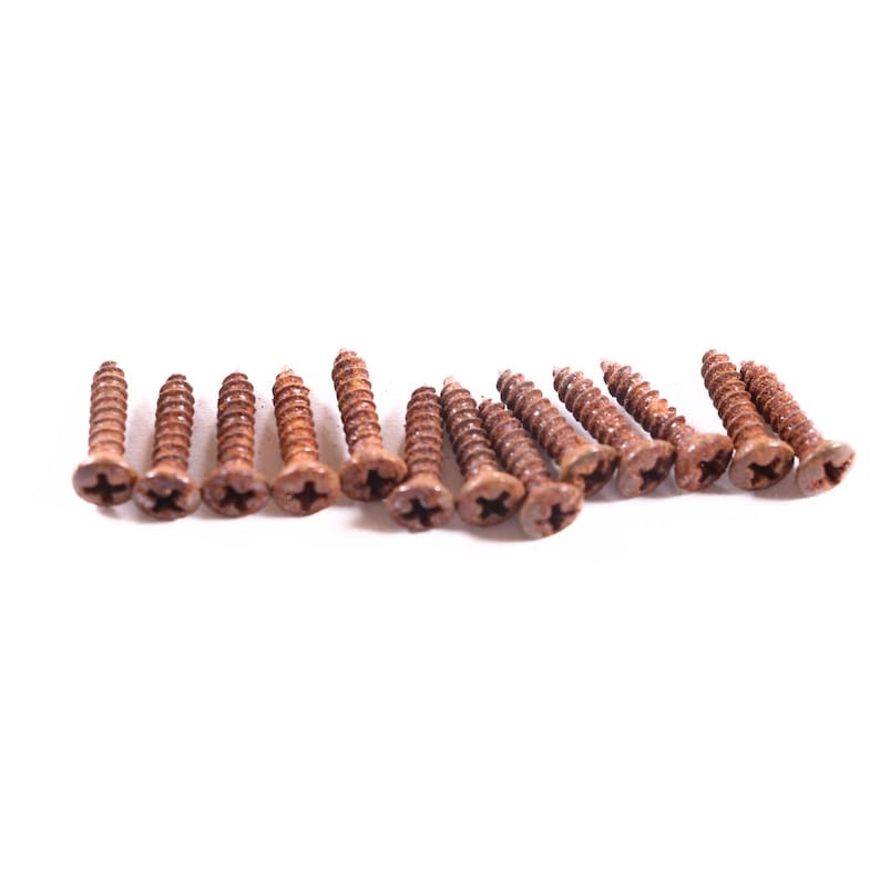 AGP ™ Aged Relic Phillips Head Pickguard Screws for Tele and Strat-Style Guitars (13) #5212643