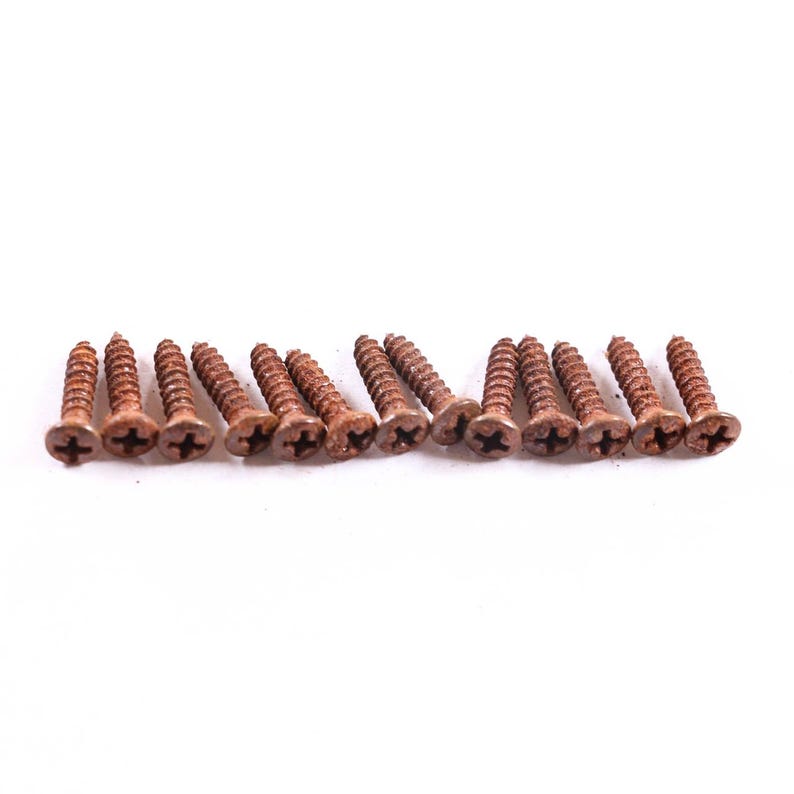 AGP ™ Aged Relic Phillips Head Pickguard Screws for Tele and Strat-Style Guitars (13) #5212645