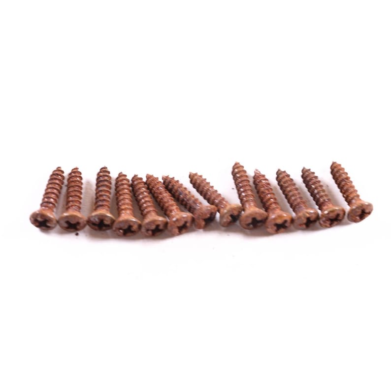 AGP ™ Aged Relic Phillips Head Pickguard Screws for Tele and Strat-Style Guitars (13) #5212653