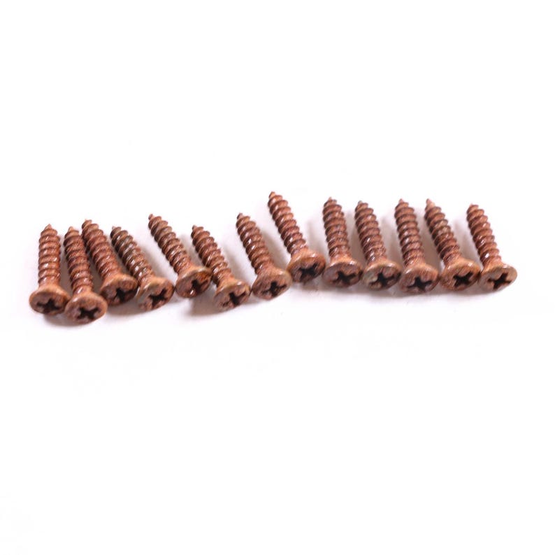 AGP ™ Aged Relic Phillips Head Pickguard Screws for Tele and Strat-Style Guitars (13) #5212649