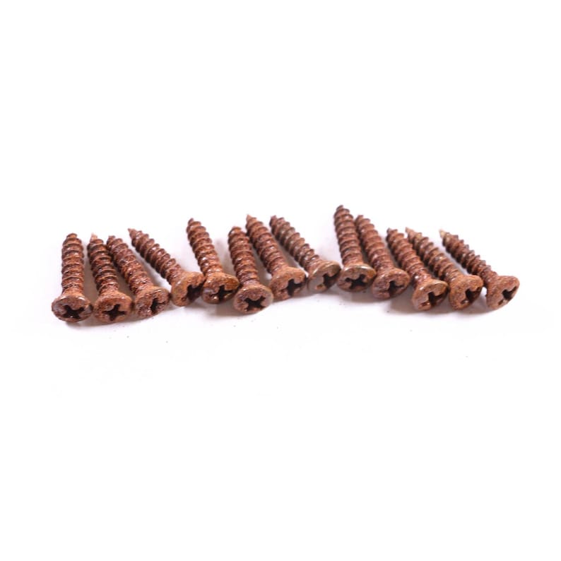 AGP ™ Aged Relic Phillips Head Pickguard Screws for Tele and Strat-Style Guitars (13) #5212656