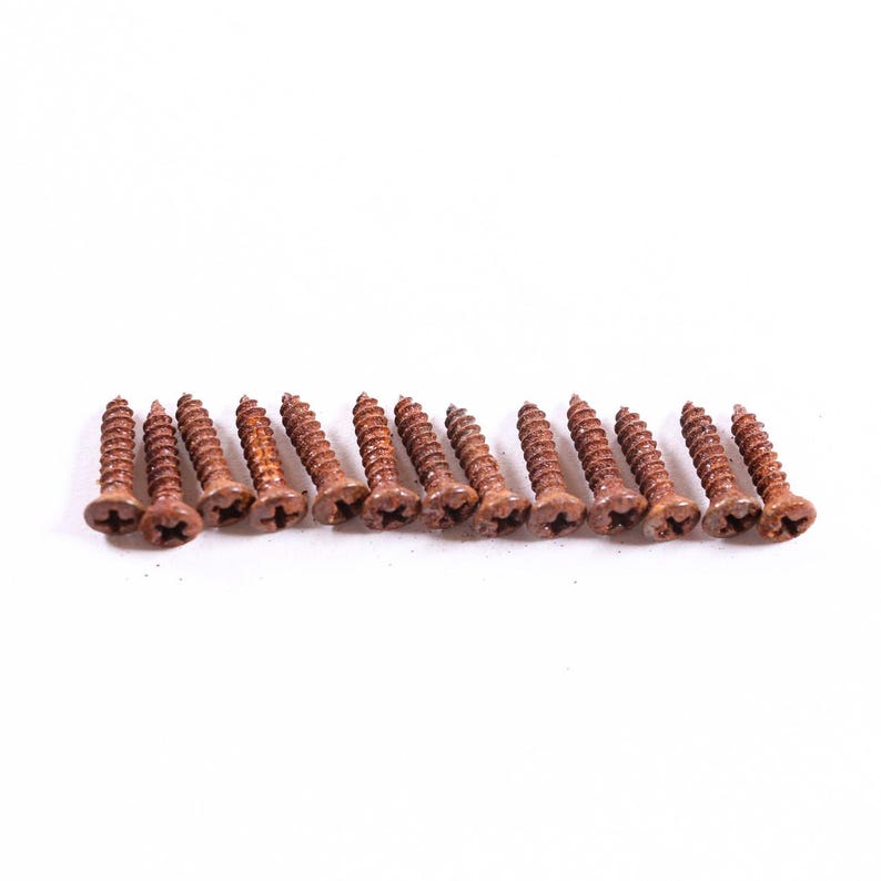 AGP ™ Aged Relic Phillips Head Pickguard Screws for Tele and Strat-Style Guitars (13) #5212654