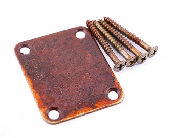 AGP ™ - Telecaster ® Stratocaster® Aged Relic Guitar Neck Plate & Screws #4252496