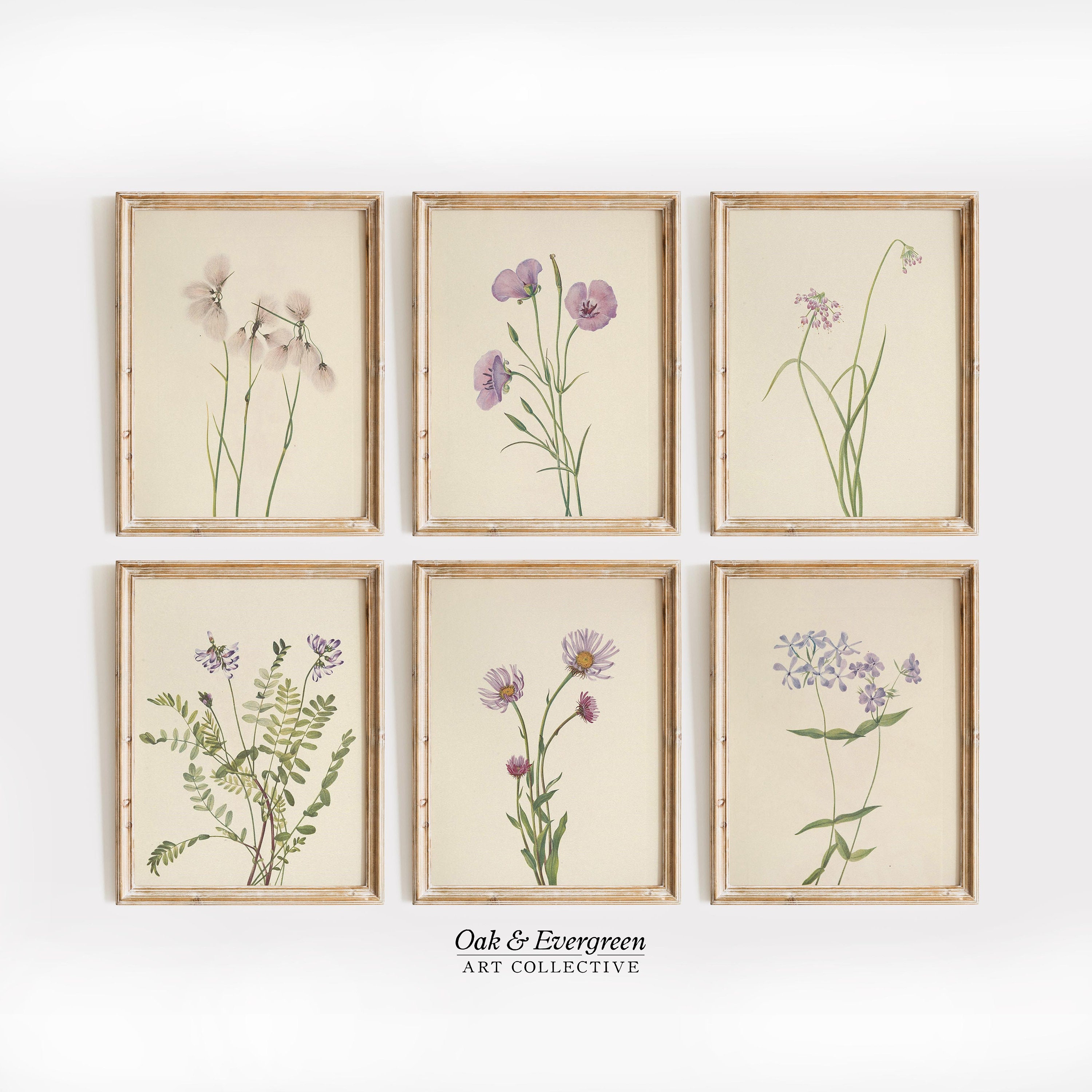 Neutral Vintage Botanical Print Set of 6 Instant Download Wildflower ...