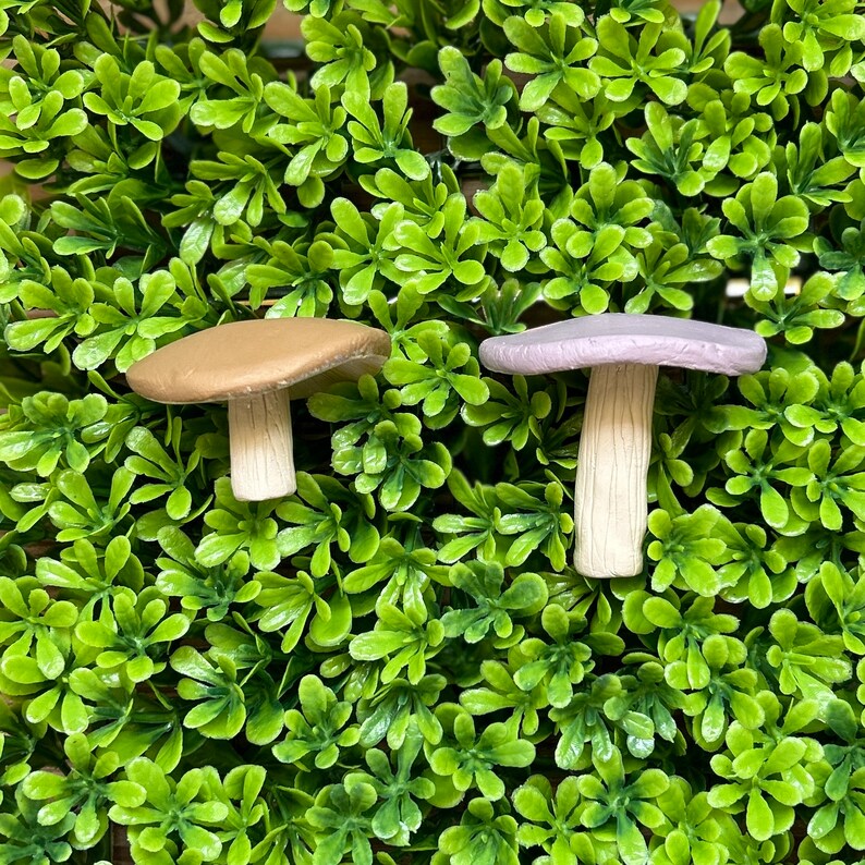 Mushroom Ring Holders Etsy