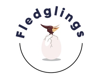 Principiantes Premium Pegatina