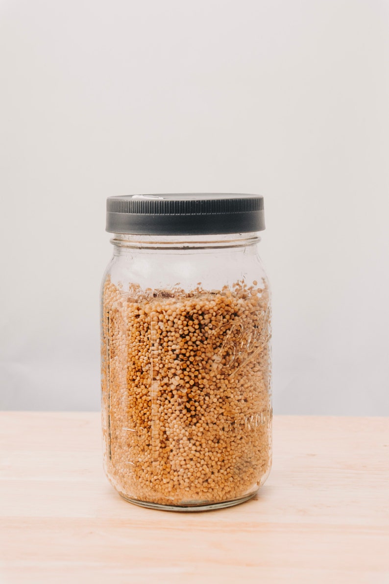 Sterilized Millet Grain Jars Etsy