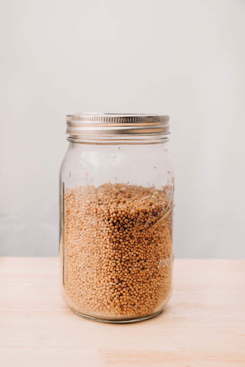 Sterilized Millet Grain Jars Etsy