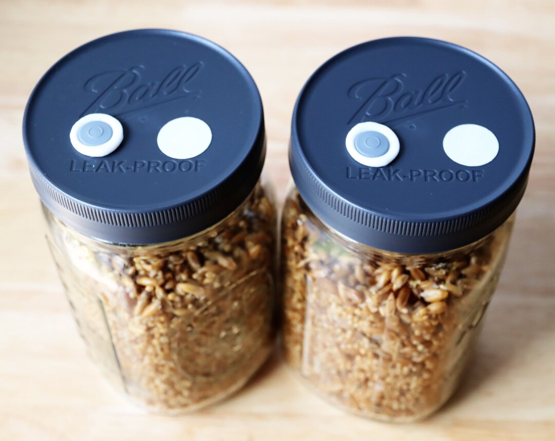 2x Sterilized Oat and Millet Grain Jars Etsy