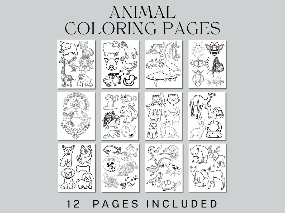 Animal Coloring Pages, Set of 12, Printable Coloring Pages, Kids ...