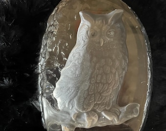 Può includere: Una scultura di gufo in vetro trasparente. Il gufo è appollaiato su un ramo, con dettagliate incisioni di piume e occhi. La scultura è racchiusa in un blocco di vetro trasparente di forma ovale. Lo sfondo è un materiale nero e peloso.