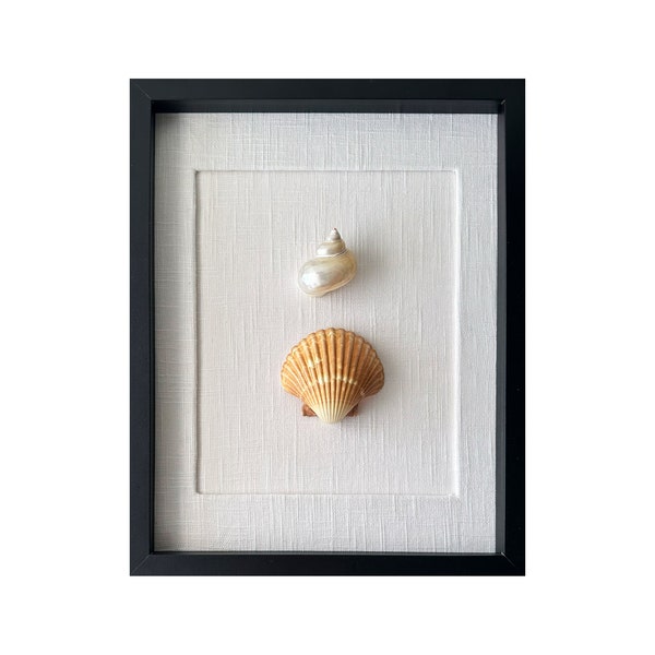 Seashell Wall Art - Framed Shells in Shadowbox - Black Frame with Ivory Linen Matting - Nautical Wall Decor - Coastal Home Decor