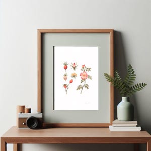 Original Watercolor — Wild Roses | Handmade Botanical Watercolor Illustration, Original Painting, Home Decor, Original Artwork