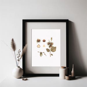 Original Watercolor — Hazelnut | Handmade Botanical Watercolor Illustration, Original Painting, Home Decor, Original Artwork