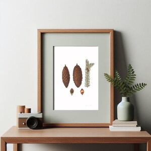 Original Watercolor — Spruce Cone | Handmade Botanical Watercolor Illustration, Original Painting, Home Decor, Original Artwork