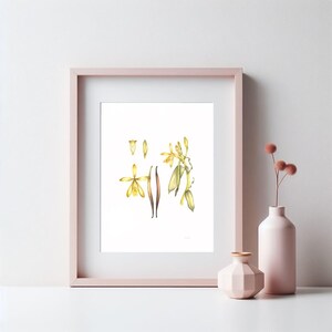 Original Watercolor — Vanilla | Handmade Botanical Watercolor Illustration, Original Painting, Home Decor, Original Artwork