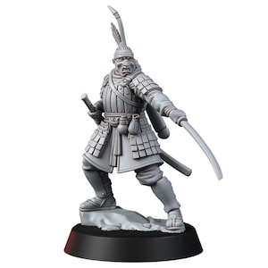Ronin | Inquisition | Proxy | Tabletop | Wargaming | Red Pilgrim Miniatures