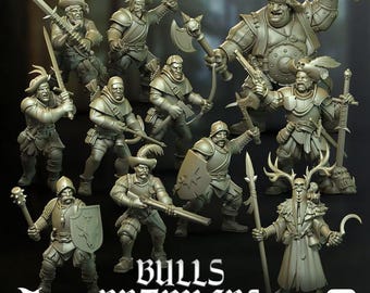 May include: A collection of miniature figurines depicting medieval warriors and fantasy characters. The figures are in various poses, wielding swords, axes, bows, and other weapons. The text "Bulls Brawlers" is displayed at the bottom of the image.