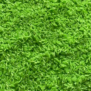 Sensory Rice Pretend Play