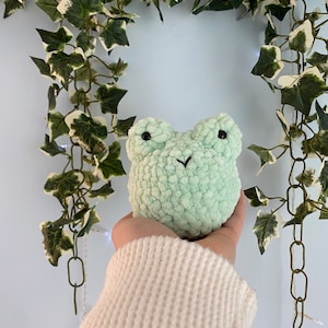Froggy Ball Buddy