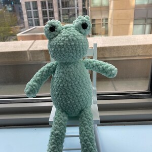 Friendly Frog Amigurumi Doll
