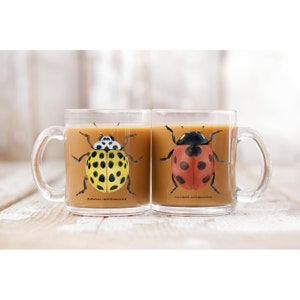 Two Sided Ladybug Mug, Spring Tea Cup, Cozy Coffee Break, Scientific Watercolor Illustration, Science Lover, Animal Lover, Coleoptera