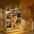 Personalized Pet Memorial LED Night Light, Custom Photo Pet Lover Night Light, Dog Keepsake Sign, Pet Loss Light Up Sign, Loss Of Dog Cat