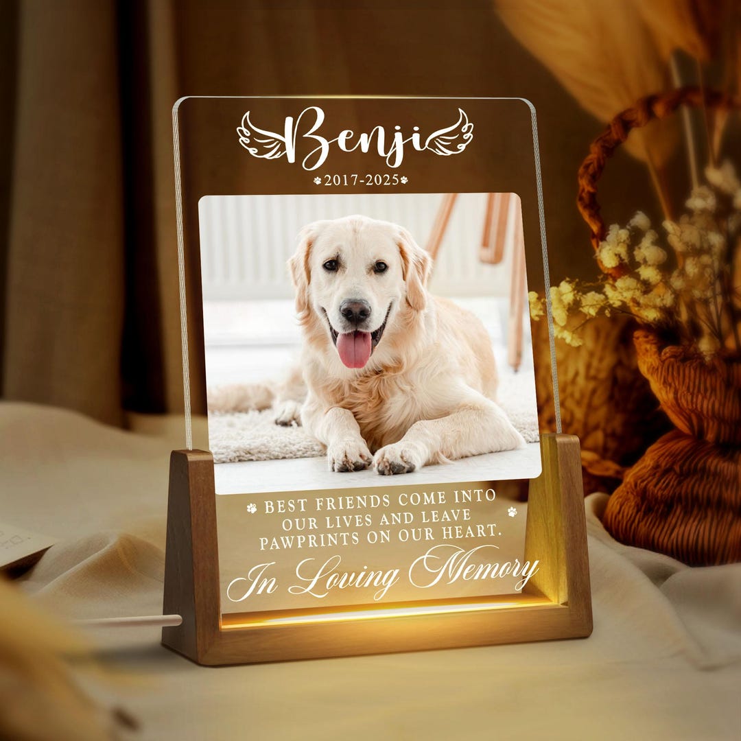 Personalized Pet Memorial LED Night Light, Dog Loss Gift, Dog Sympathy ...