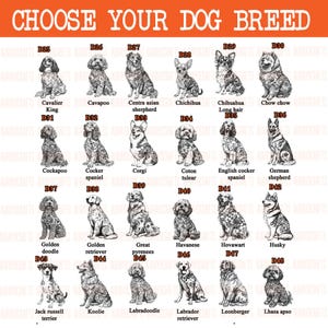 May include: A print featuring various dog breeds, including Cavalier King, Corgi, and Husky. The text "CHOOSE YOUR DOG BREED" is at the top. Each breed is labeled with a name and a number.