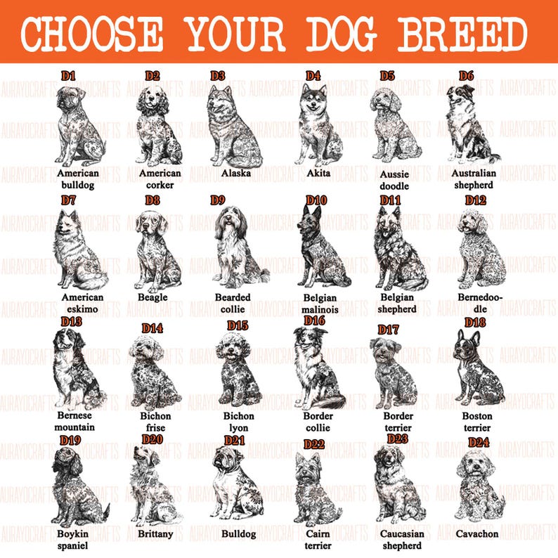 May include: A print featuring various dog breeds, including American Bulldog, Beagle, and Border Collie. The phrase "CHOOSE YOUR DOG BREED" is displayed in orange at the top. Each dog is illustrated with its breed name below.
