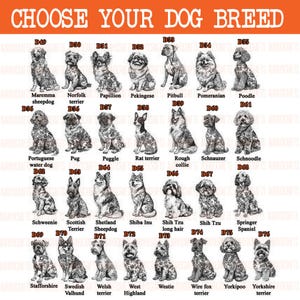 May include: A poster with the text "CHOOSE YOUR DOG BREED" in orange. It features illustrations of various dog breeds, including a Maremma sheepdog, a Poodle, and a Yorkshire terrier. Each dog has a corresponding breed name and a number.