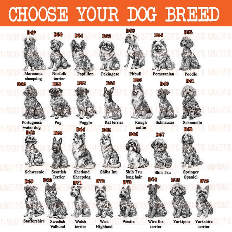 May include: A poster with the text "CHOOSE YOUR DOG BREED" in orange. It features illustrations of various dog breeds, including a Maremma sheepdog, a Poodle, and a Yorkshire terrier. Each dog has a corresponding breed name and a number.