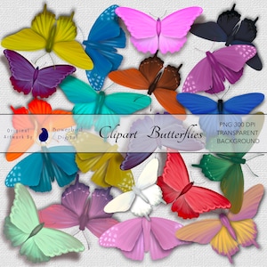 Clipart Butterfly, PNG Butterfly, Digital Transparent PNG, Painted Butterflies, Butterfly Element, Scrapbooking Ephemera
